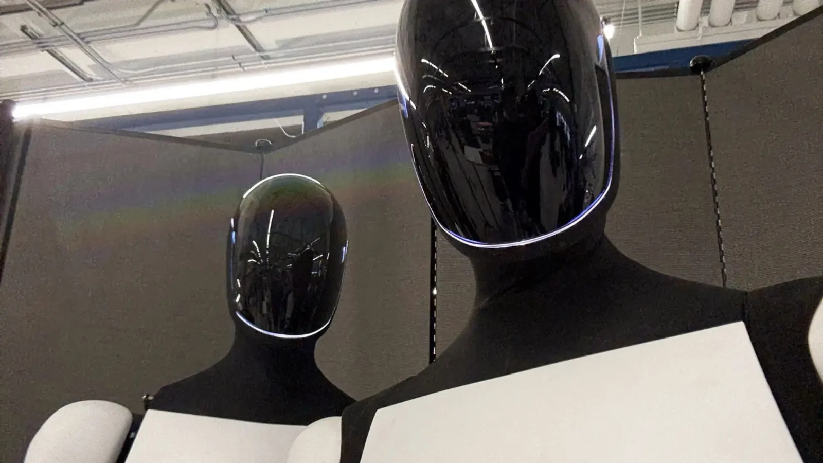 Tesla,Илон Маск,AI-чипы,Optimus,Full Self Driving